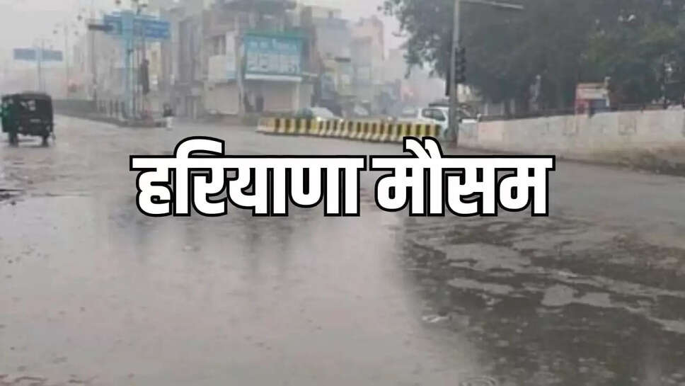  rain in haryana