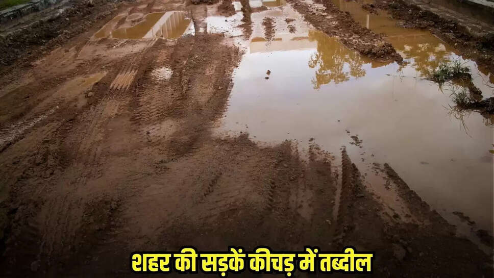 Bina News