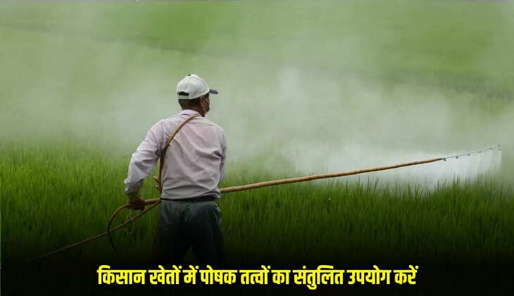 ​​​​​​​Burhanpur News