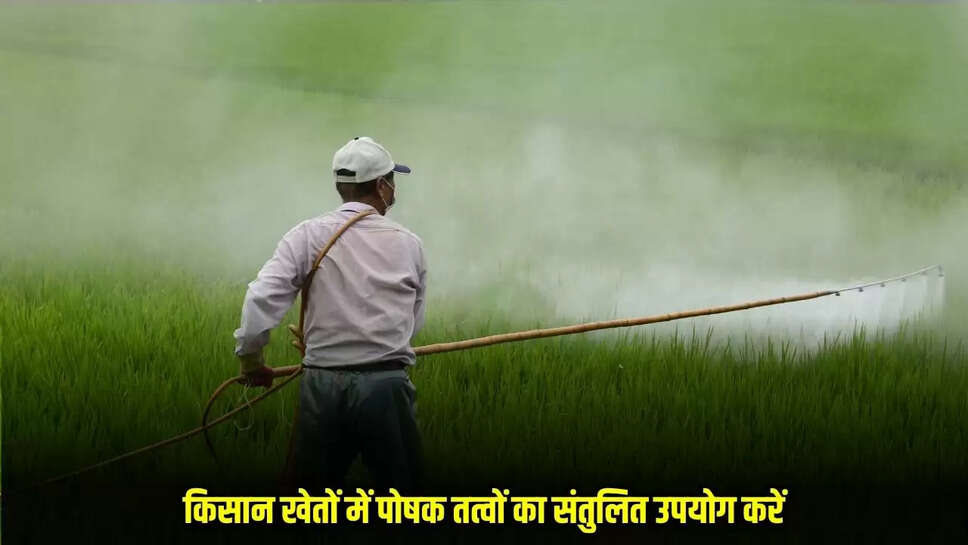 ​​​​​​​Burhanpur News