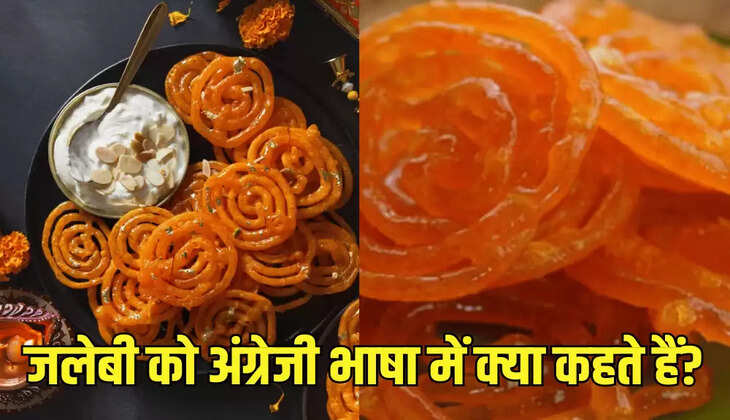 जलेबी को अंग्रेजी भाषा में क्या कहते हैं?