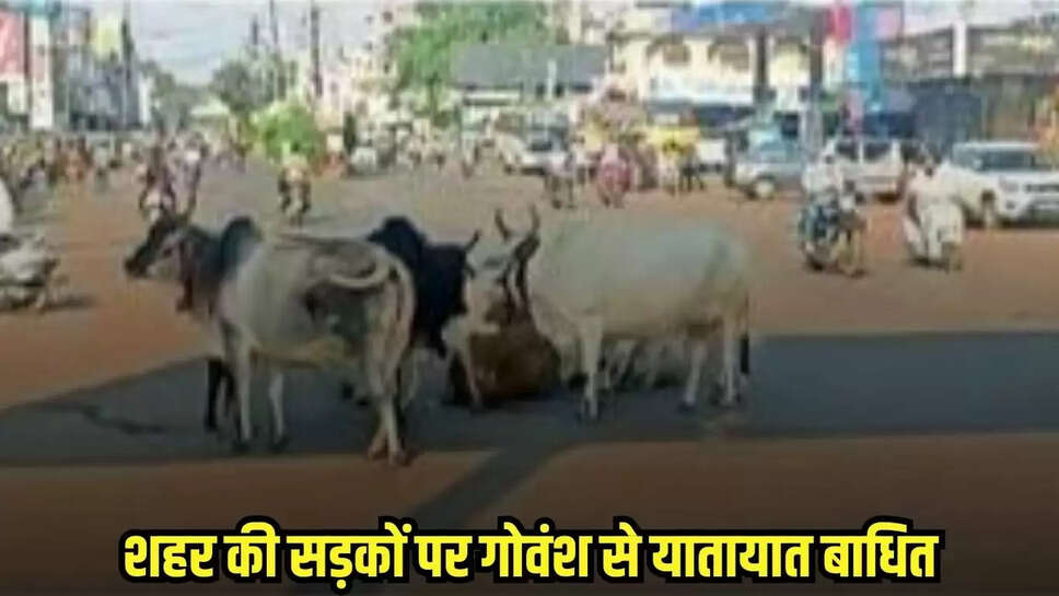 Guna news, MP news,