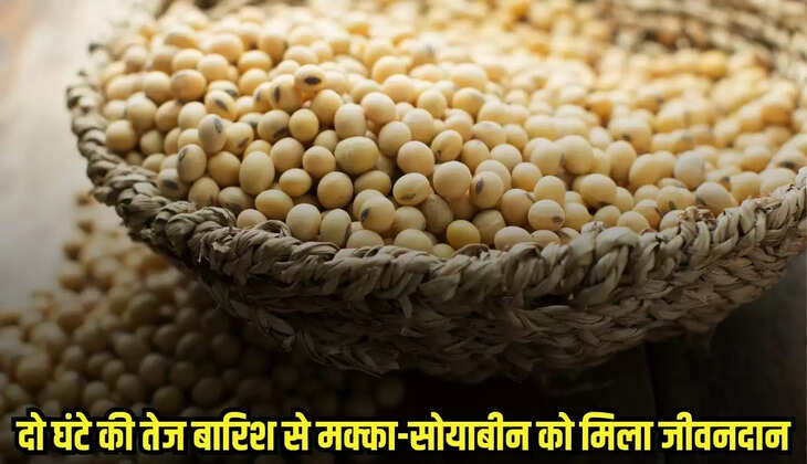 Burhanpur News