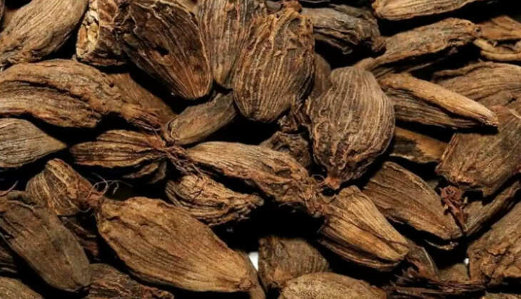 बड़ी इलायची