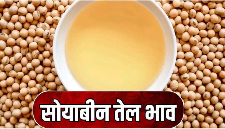 Soya oil price 