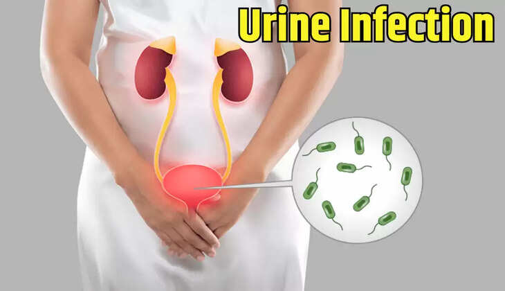 इन चीजों का सेवन करने से हो सकता है यूरिन इंफेक्शन