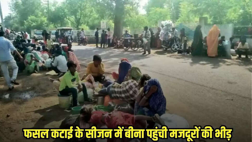 Bina news, MP news,