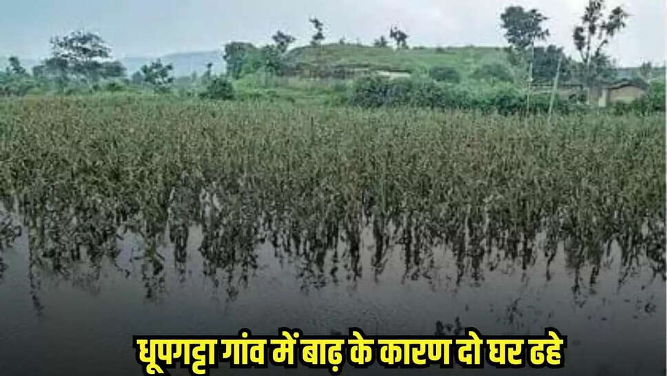 Burhanpur news