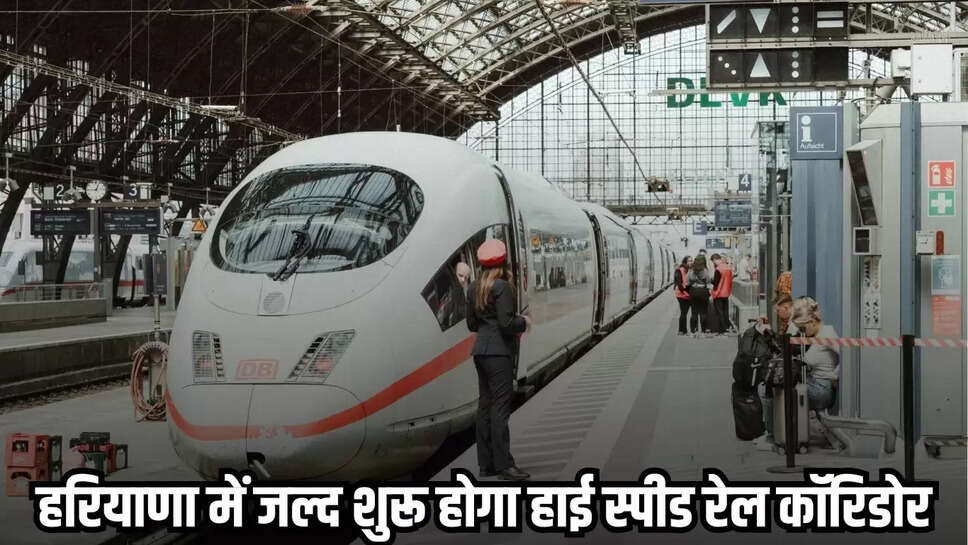 Haryana News