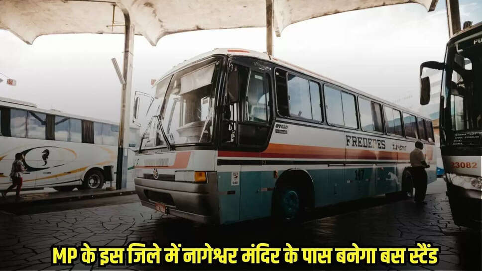 MP News