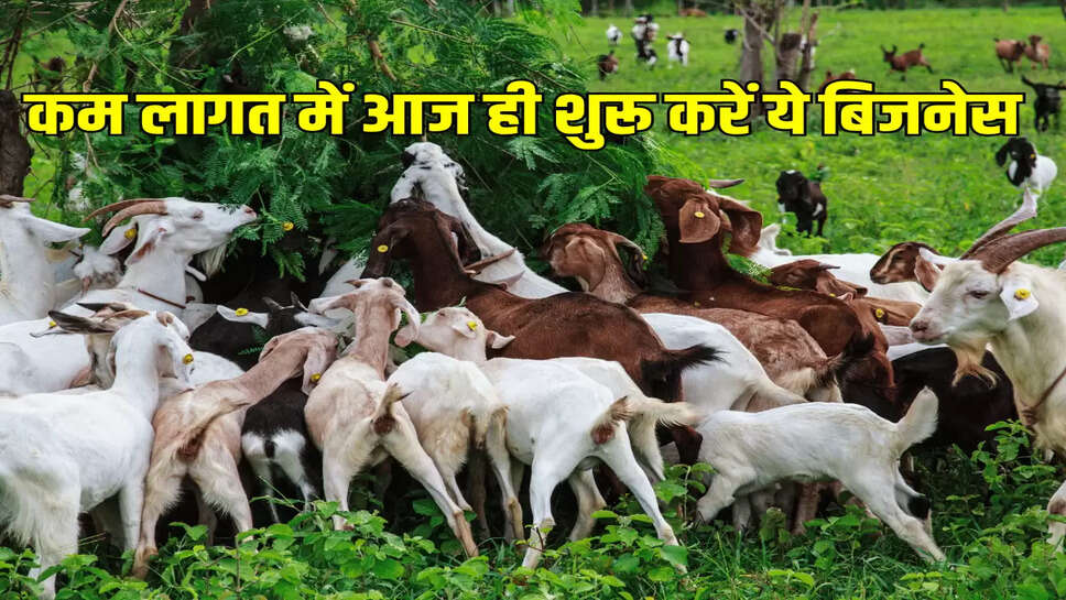 कम लागत में आज ही शुरू करें ये बिजनेस