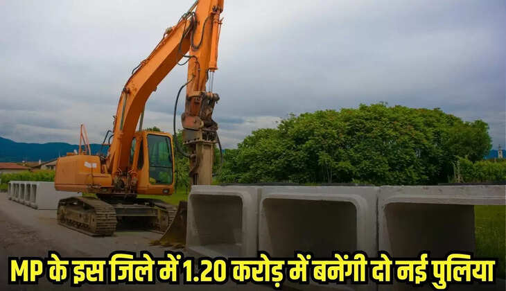 Shyokpur news, MP news,