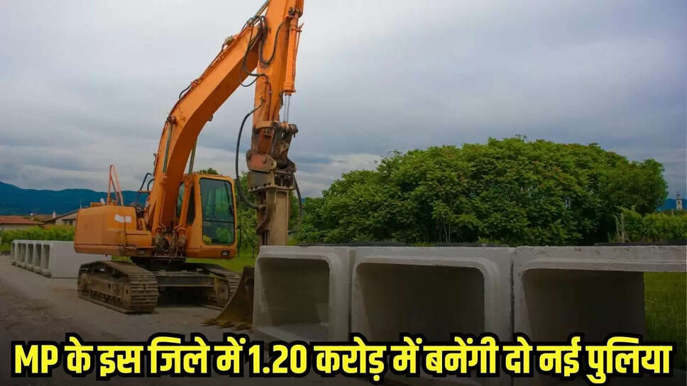 Shyokpur news, MP news,