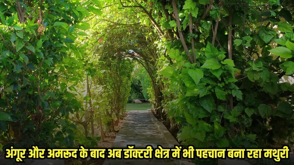 Ratlam News
