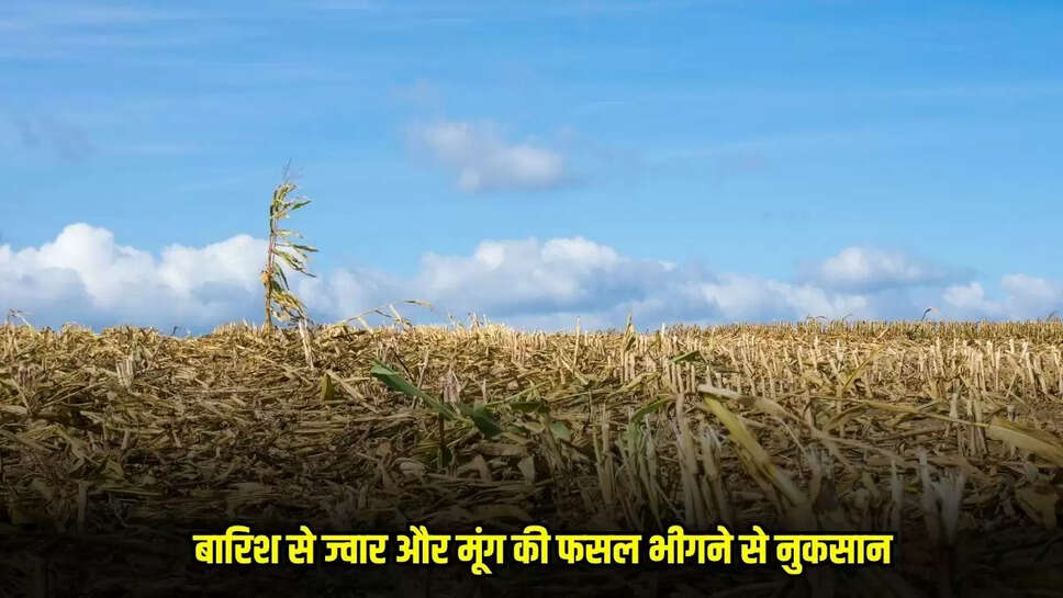 Burhanpur News