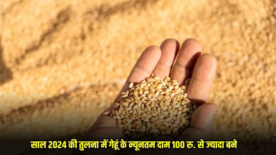 Bina News