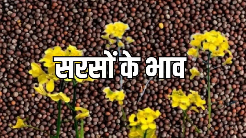 सरसों