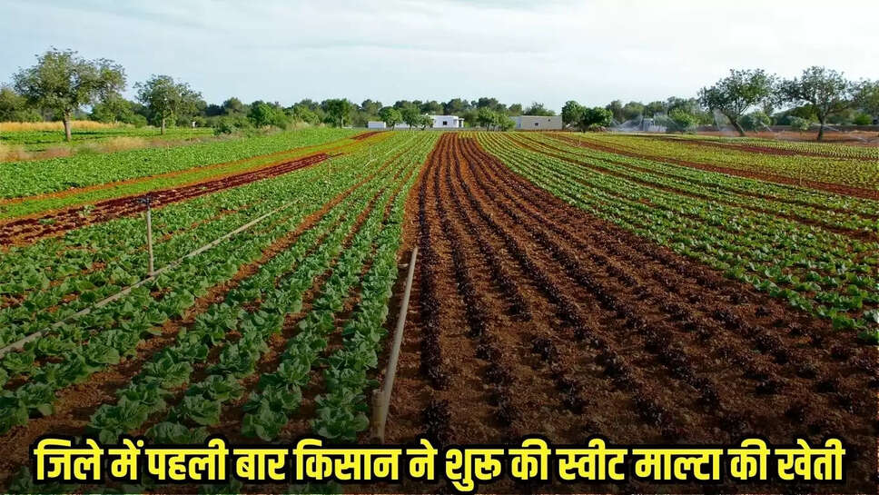 Neemuch News