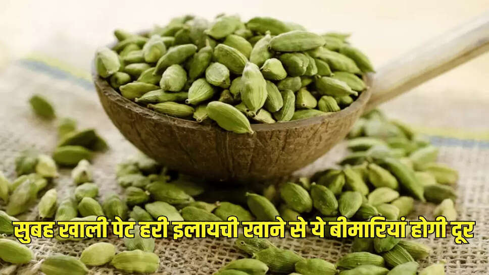 सुबह खाली पेट हरी इलायची खाने से ये बीमारियां होगी दूर