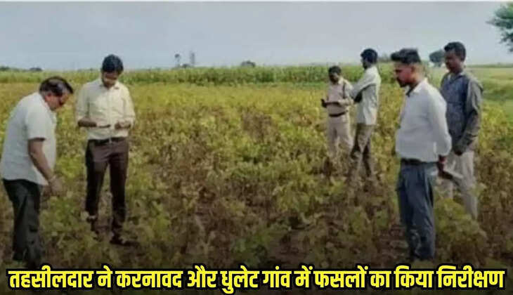 Dhaar news, MP news,
