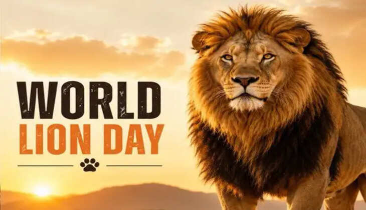 lion