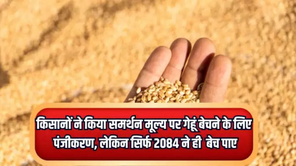 Bina News