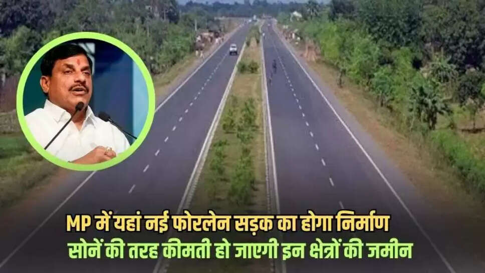 Mp news