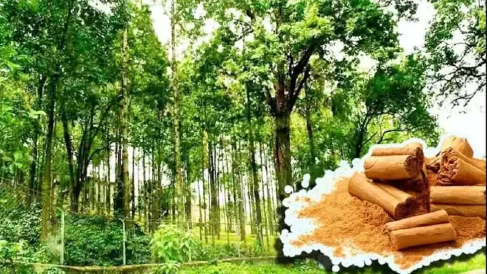 Agriculture tips