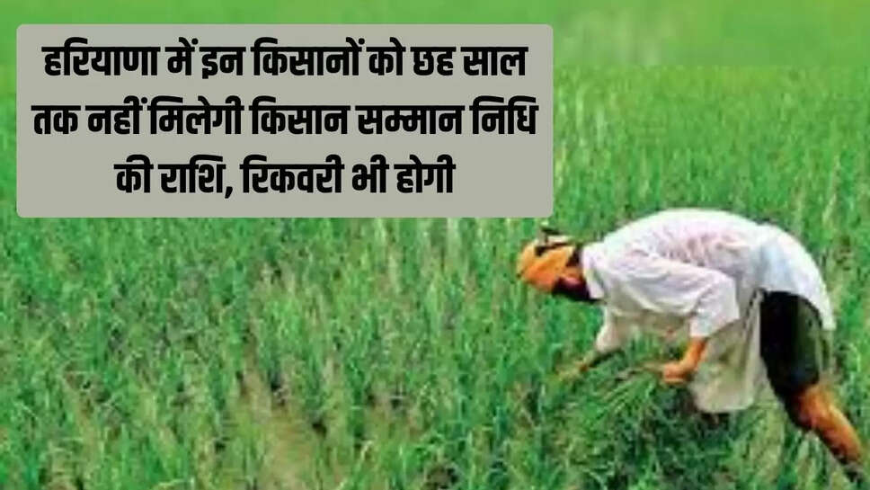Kisan Samman Nidhi  हरियाणा में इन किसानों को छह साल तक नहीं मिलेगी किसान सम्मान निधि की राशि, रिकवरी भी होगी