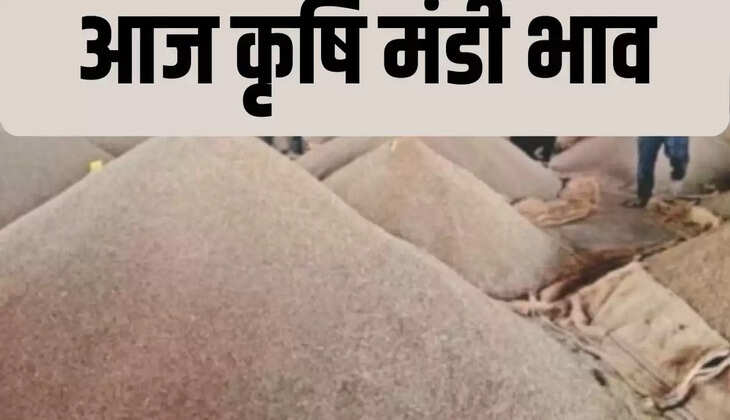 आज मंडी का भाव