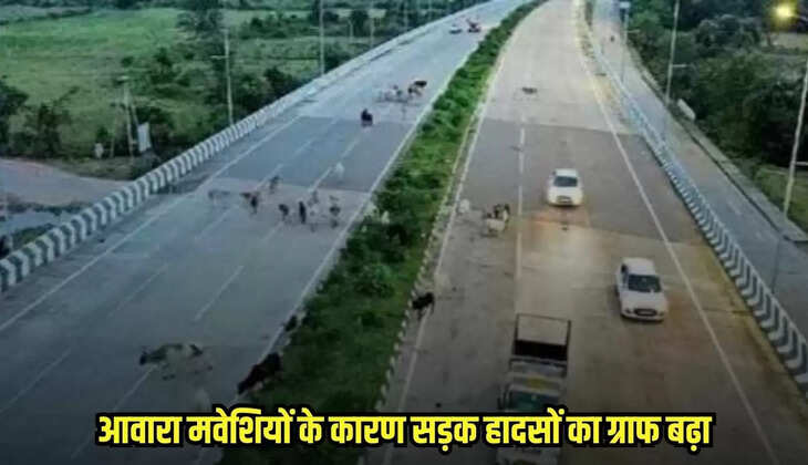 Chhatarpur news, MP news,