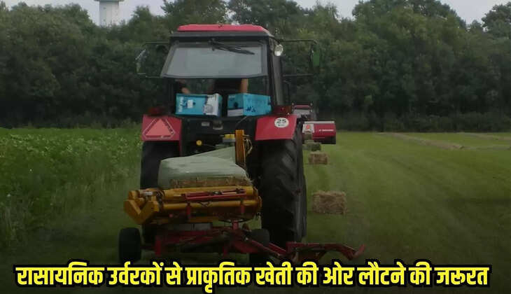 Burhanpur news, MP news,