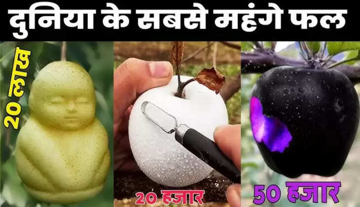 Most expensive fruit