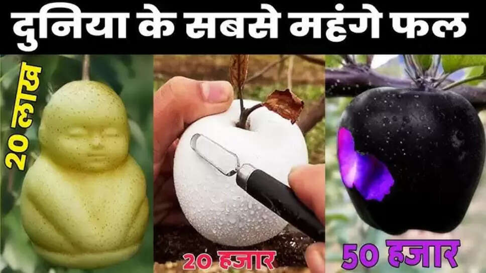 Most expensive fruit