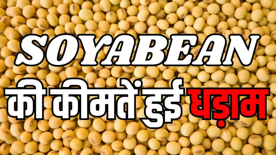Soybean Rate Update