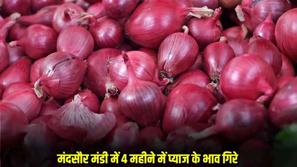 Mandsaur News