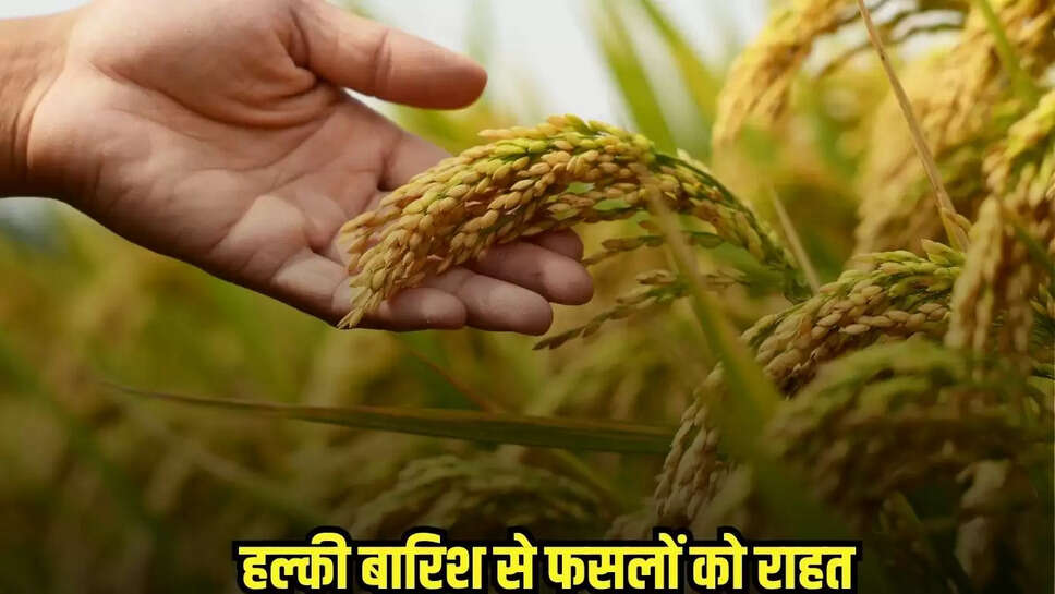 Burhanpur News
