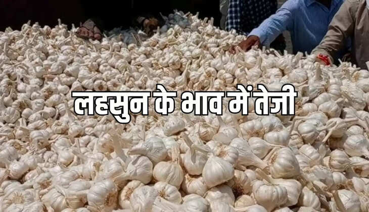 इंदौर की थोक मंडी