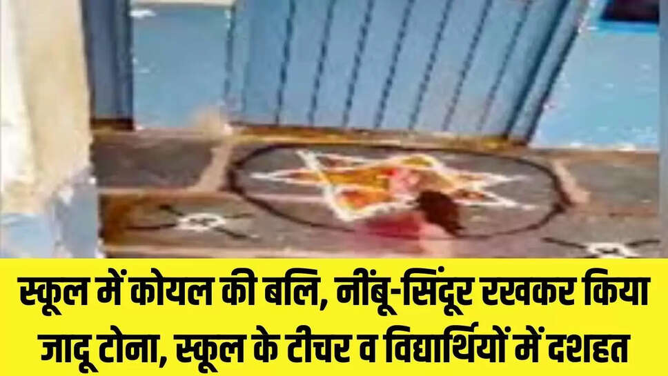 School Tantra Mantra : स्कूल में कोयल की बलि, नींबू-सिंदूर रखकर किया जादू टोना, स्कूल के टीचर व विद्यार्थियों में दशहत