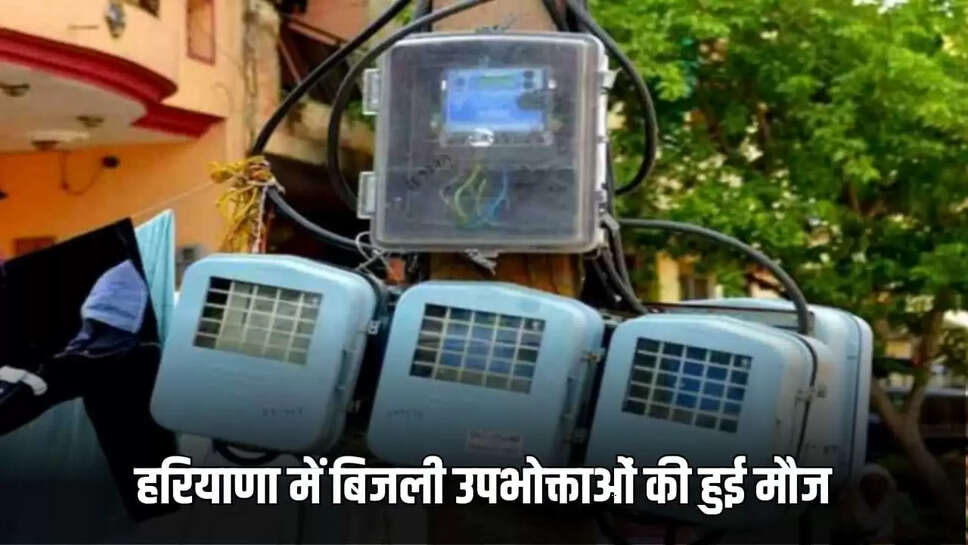 haryana electricity consumers 