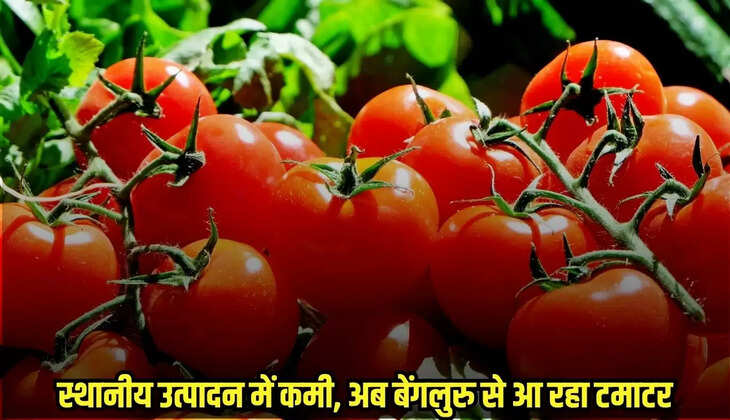 Bina News