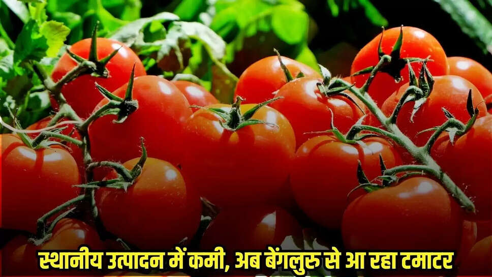 Bina News