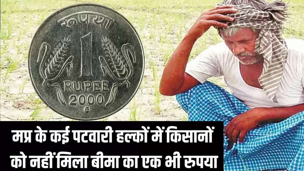 पटवारी हल्कों में नहीं मिला बीमा का एक भी रुपया