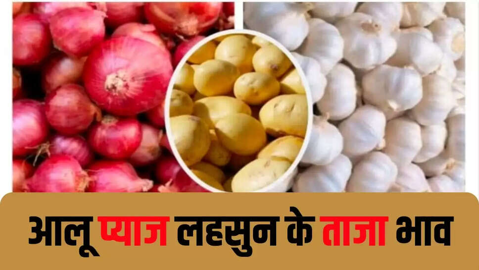 Potato, onion, garlic  latest prices