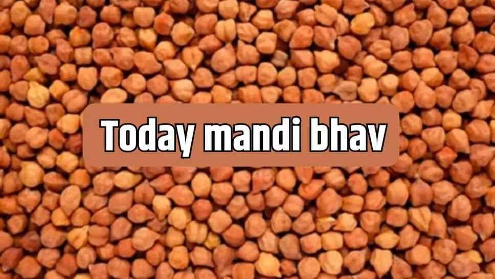 Today mandi bhav
