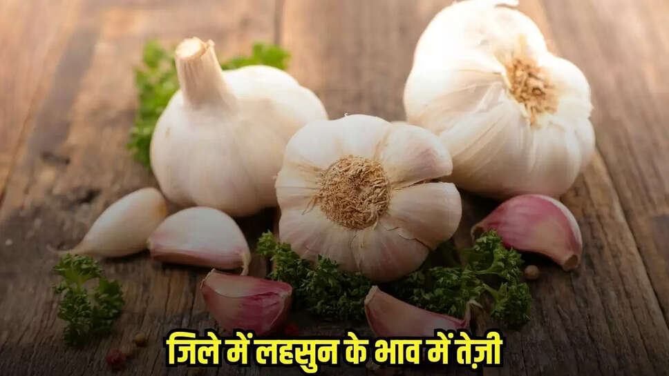 Neemuch News