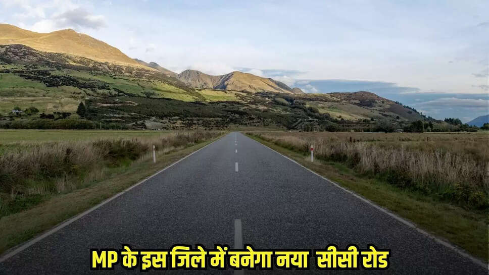 MP News