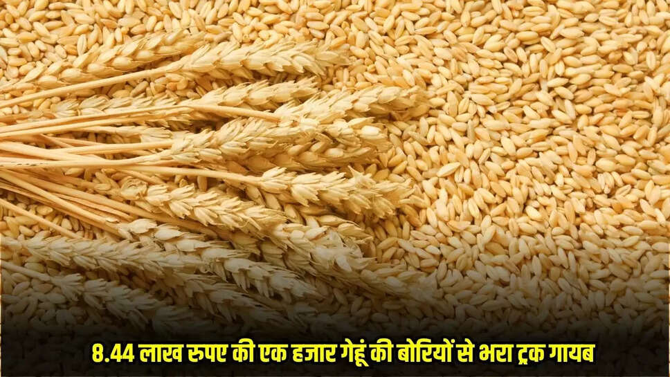 Damoh News