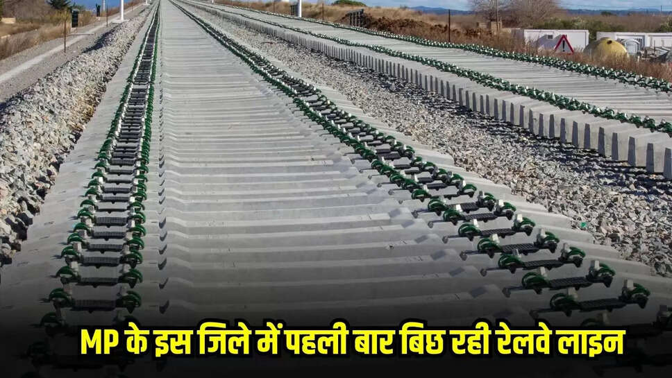 MP News