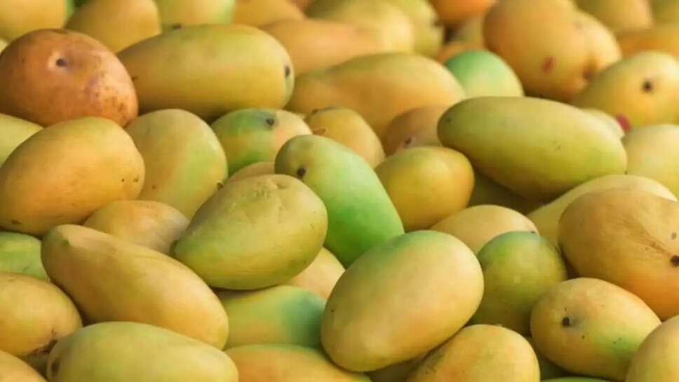  mango crashed prices 